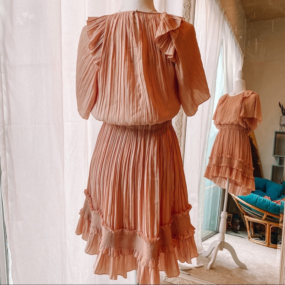 Pink Ruffled Dress - Picture 4 of 4